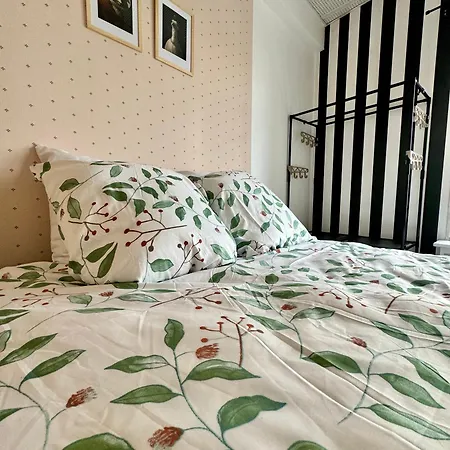 Appartement Lumineux Et Renove Pres De Montmartre 