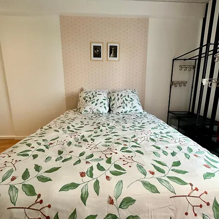 Appartement Lumineux Et Renove Pres De Montmartre 